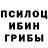Псилоцибиновые грибы GOLDEN TEACHER MaNIK Family