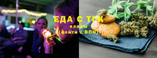 прущие грибы Надым