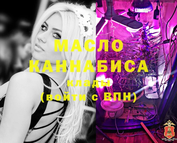 бошки Щигры